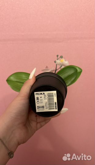 Цветок орхидея IKEA