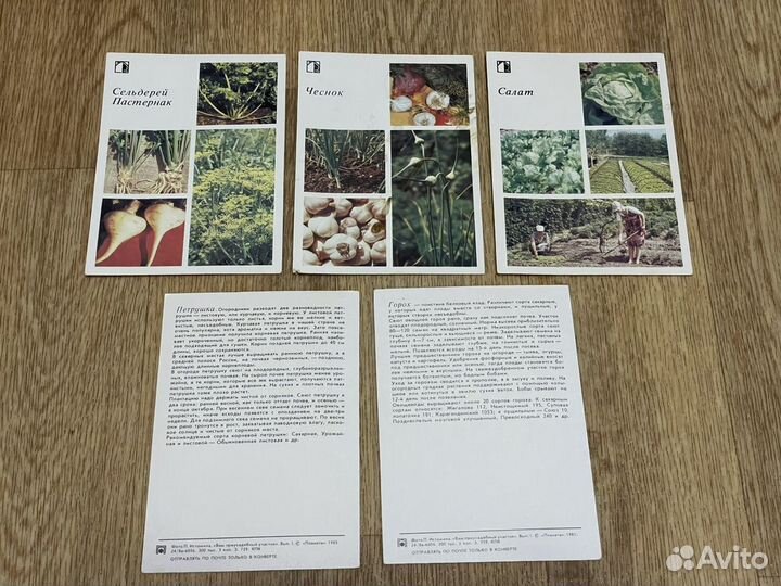 Открытки СССР (цена за всё) 1985г