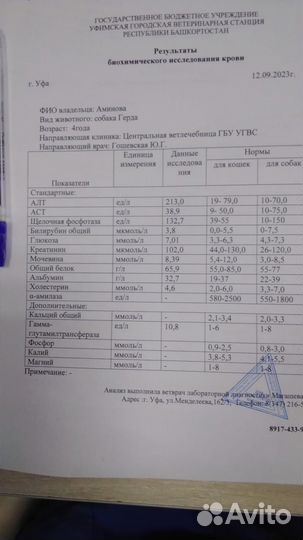За что с ней так поступили