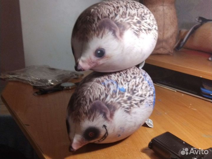 Два хренобуса братва