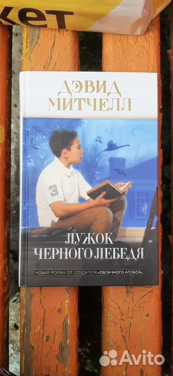 Лужок Чёрного Лебедя- Дэвид Митчелл