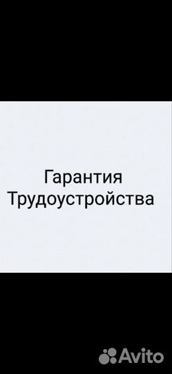 Курсы программирования