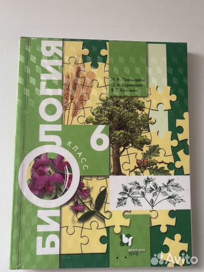 Учебники 5,6 класс