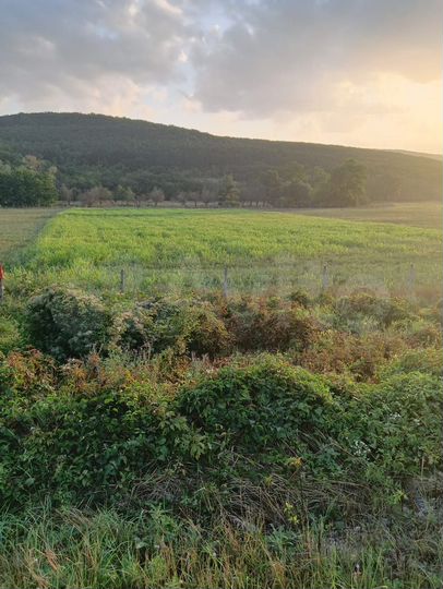 Участок 42 сот. (СНТ, ДНП)