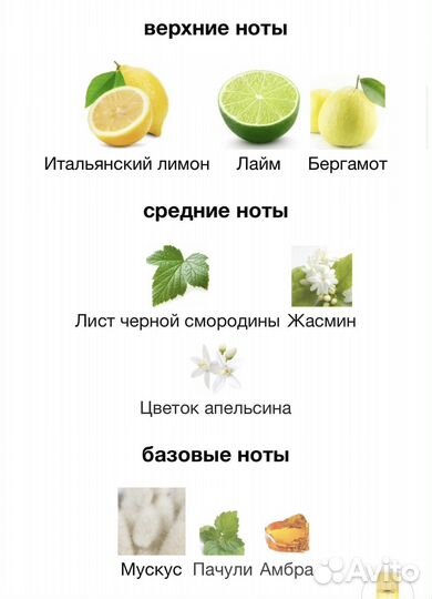 Carner barcelona/costarela/super moon/sal y limon