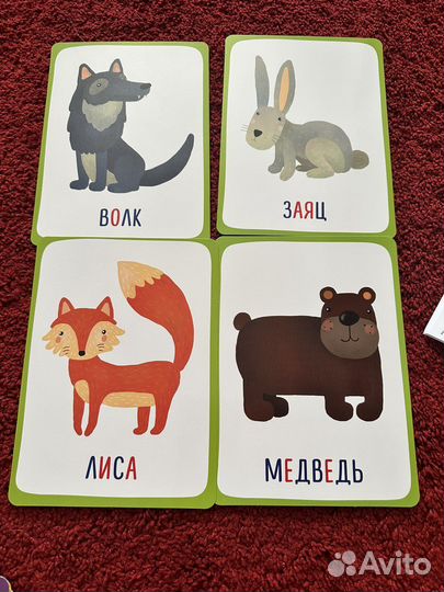 Карточки для изучения животных и среды обитания