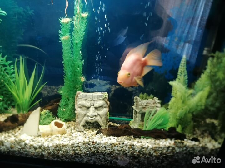 Аквариум с тумбой 180л
