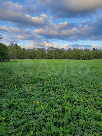 Участок 15 сот. (СНТ, ДНП)