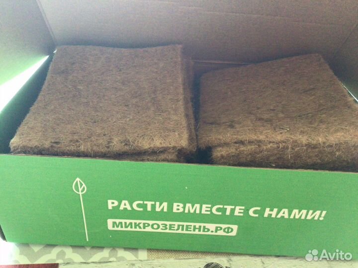Набор для выращивания микрозелени