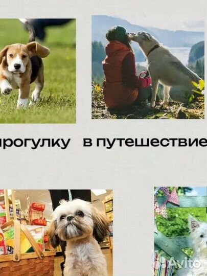 Поилка для собак