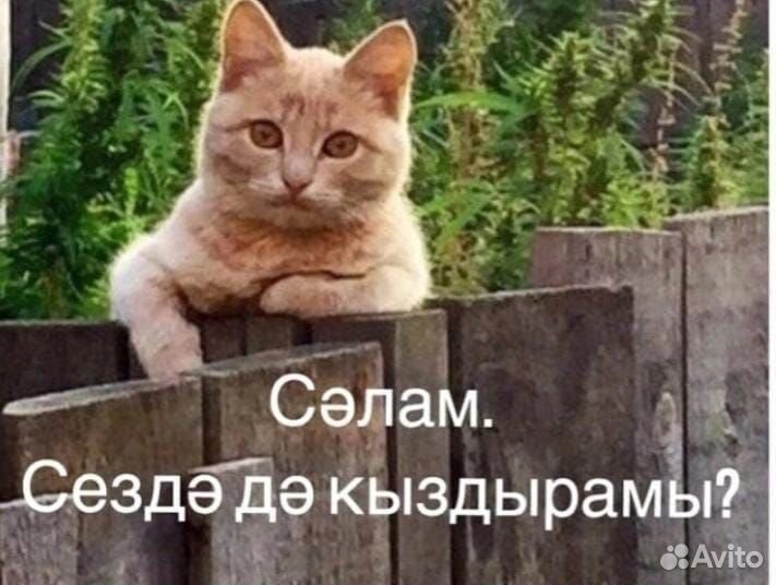 Фиксаторы для арматуры 30 мм звёздочки