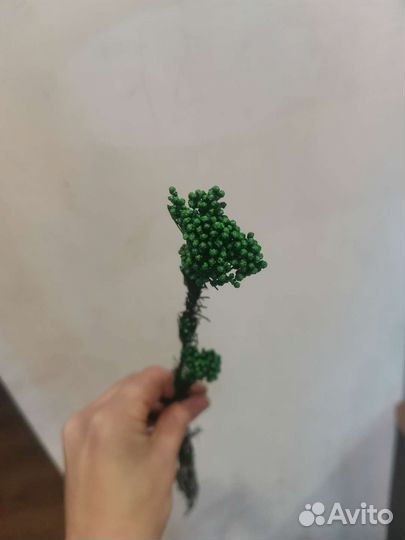 Сухоцветы. Стабилизированные бутоны роз