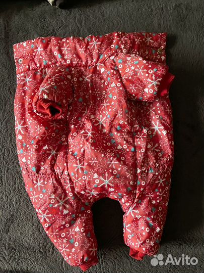 Вещи для маленьких собак