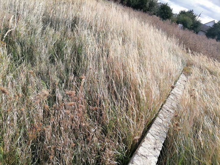 Участок 10,1 га (ИЖС)