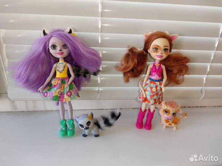 Куклы энчантималс цена за всех
