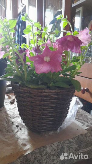 Горшок для цветка из ротанга