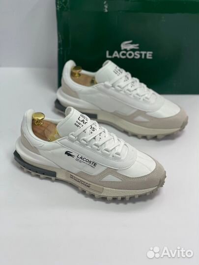 Кроссовки мужские Lacoste