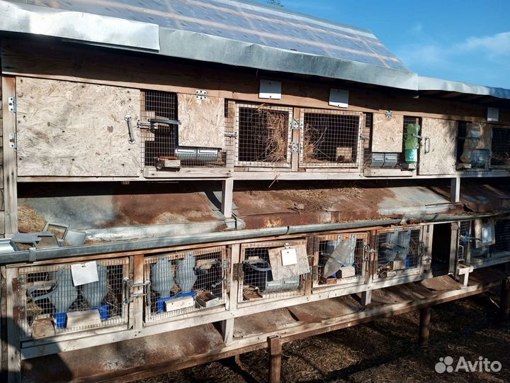 Клетка для кролика большая