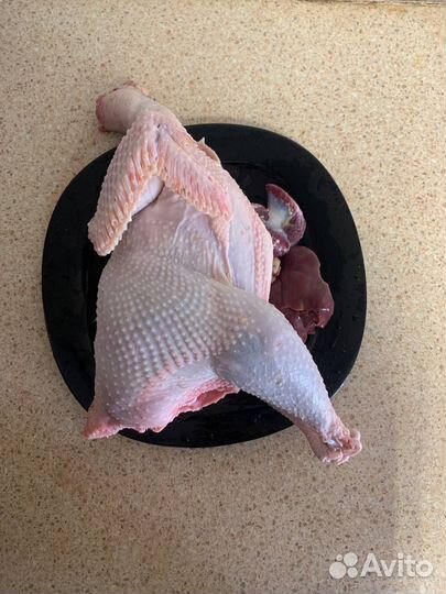 Петух домашний. Тушка. Доставка на дом