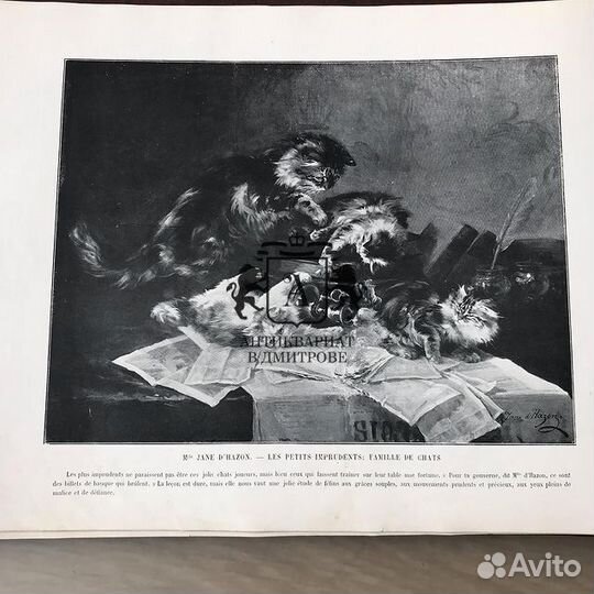 Альбом картин. 1903 год