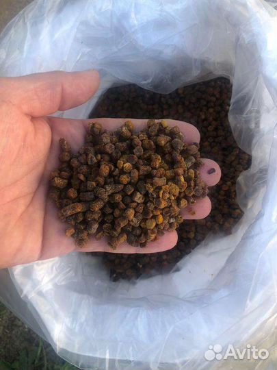 Перга пчелиная