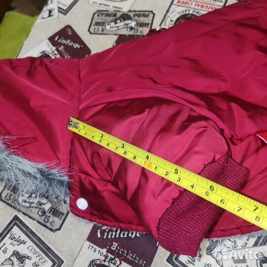 Комбинезон для небольшой собаки