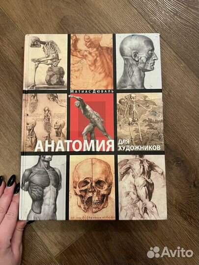Анатомия для художников дюваль