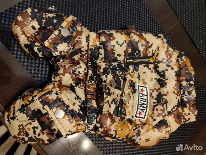 Костюм для маленьких собак