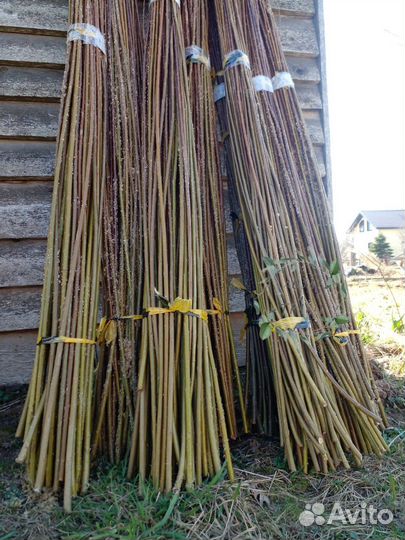 Плетеные деревья из ивы