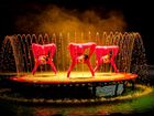 Билеты на мюзикл на воде «Одиссея» в Цирке на Фонт объявление продам