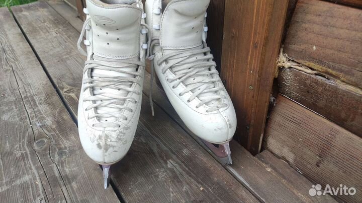 Коньки edea chorus 230