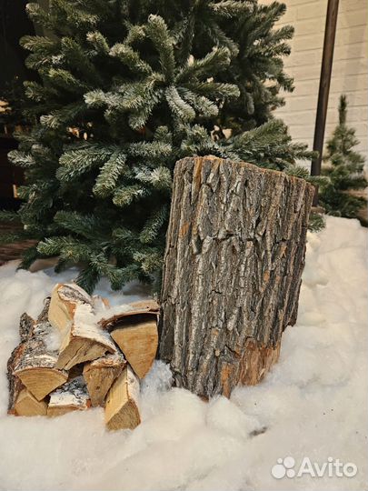 Аренда фотостудии.Фотозона Кабинет, Акцент, Япония