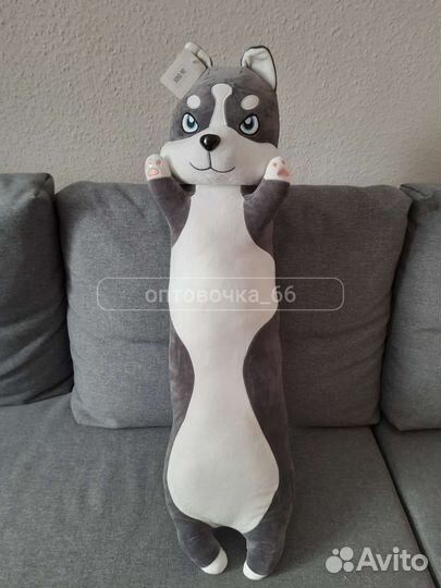 Собака хаски и корги батоны