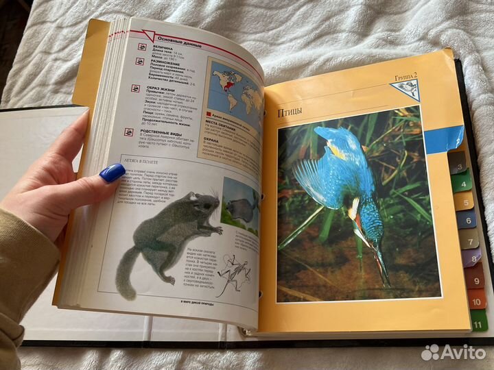 В мире дикой природы, книга детская