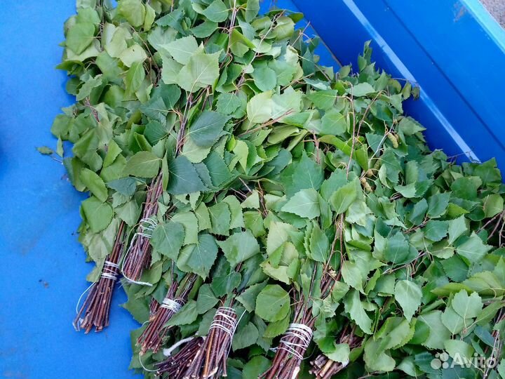 Баные веники берёза и еловые