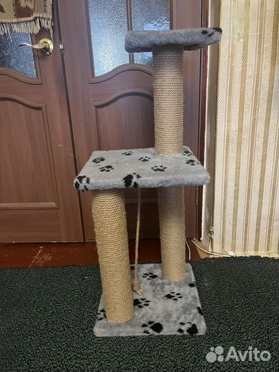 Когтеточка