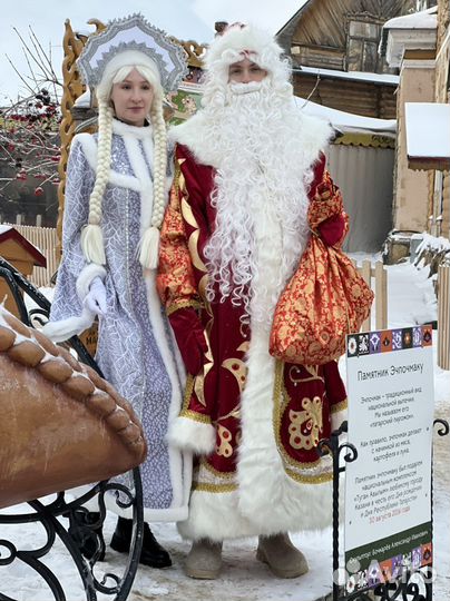 Дед Мороз и снегурочка на дом в школу детский сад