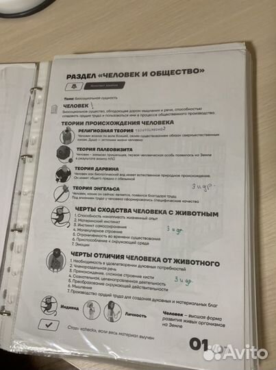 Теория по обществознанию егэ