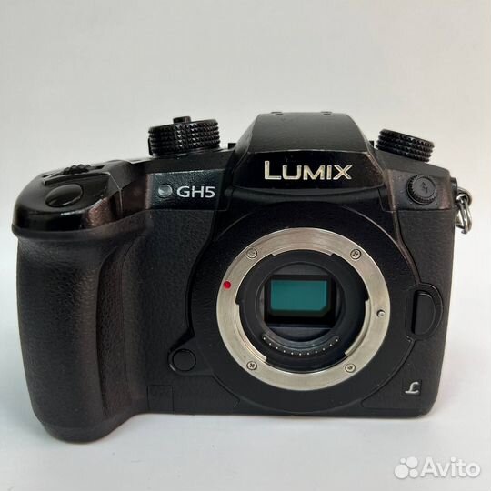 Фотоаппарат panasonic GH-5 body