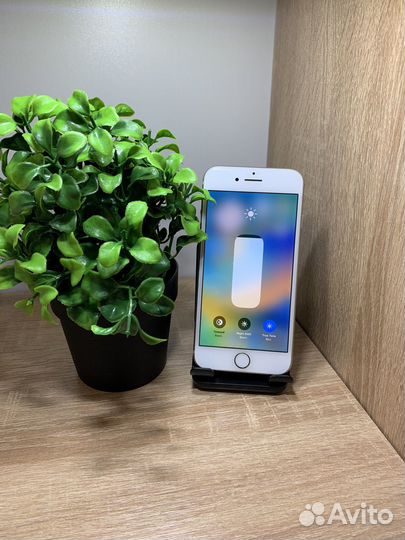 iPhone 8, 64 ГБ