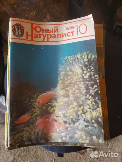 Журнал юный натуралист