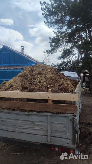 Навоз крс, перегной