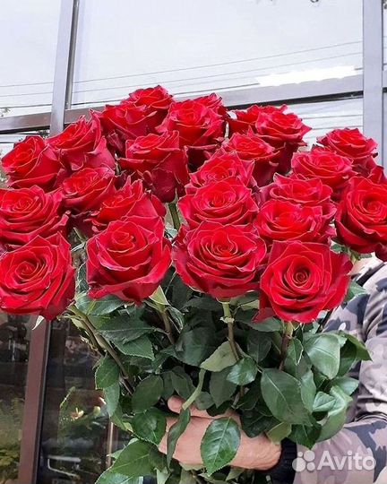Высокие розы Гигантские розы 110