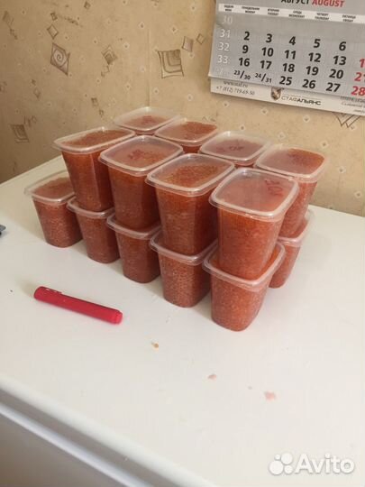 Горбуша свежая 2023год