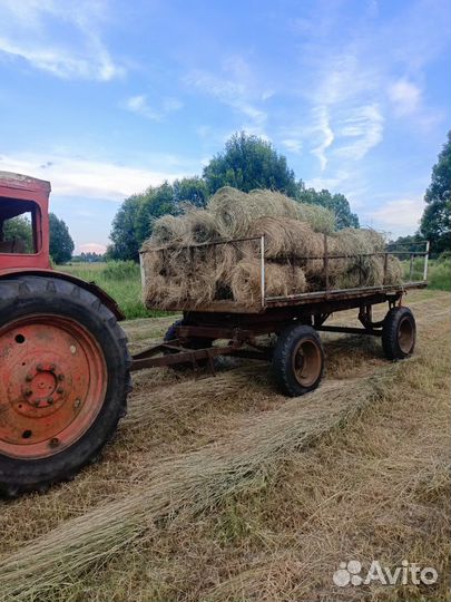 Продам сено