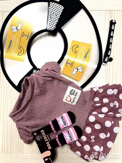 Одежда для собак