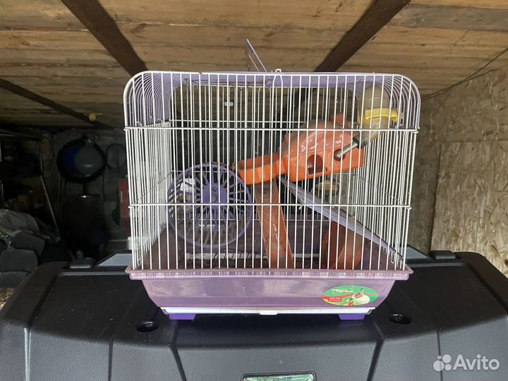 Клетка для грызунов