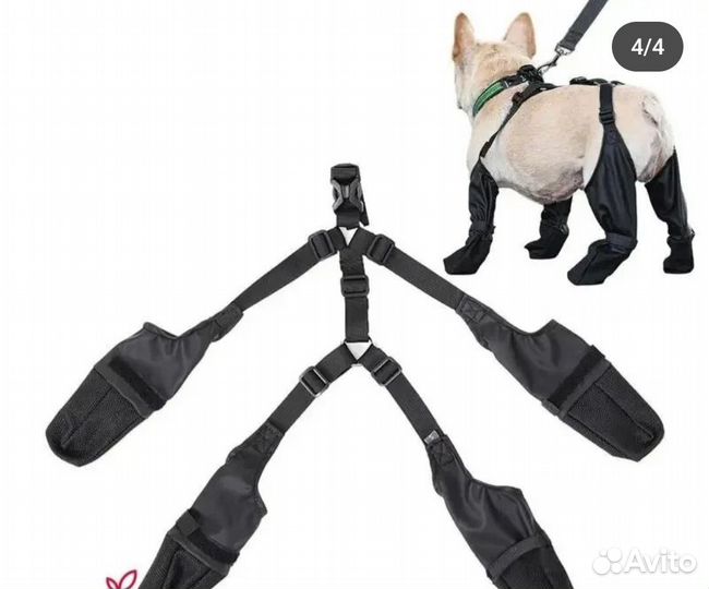 Товары для животных собак