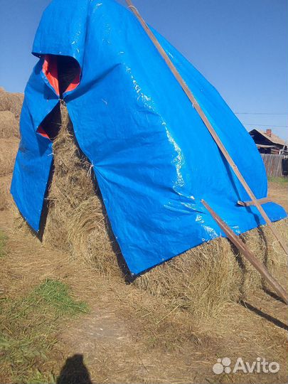 Сено в рулонах