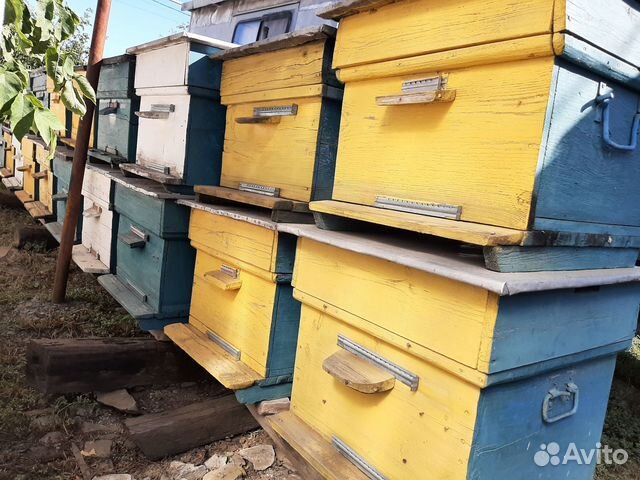 Ульи для ваших пчёлОк, б/у